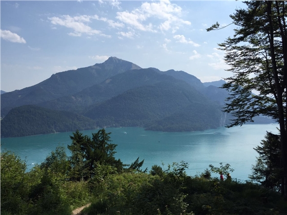 余教授奧地利鄉村行：萬(wàn)科為什么說(shuō)把奧地利小鎮搬回來(lái)？