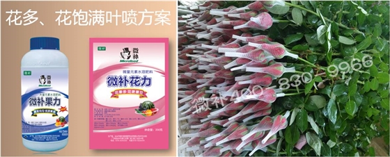 花卉也需要微補嗎？