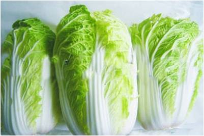 #微肥課堂#白菜類(lèi)蔬菜對哪些營(yíng)養元素敏感？