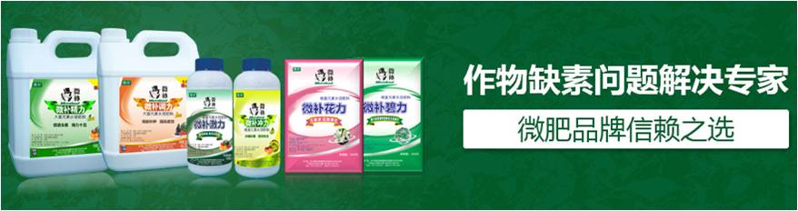 #微肥課堂#為什么葉面肥養分含量相同，效果卻不同？