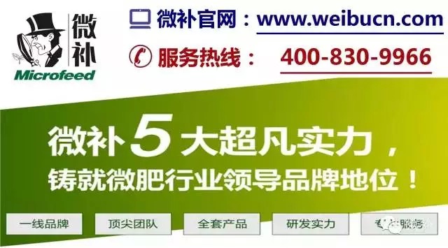 余教授奧地利鄉村行：萬(wàn)科為什么說(shuō)把奧地利小鎮搬回來(lái)？