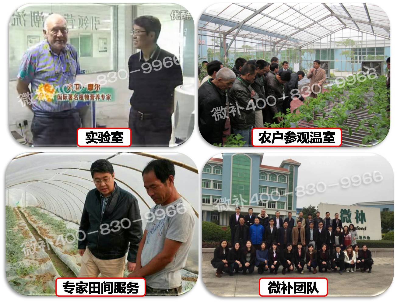 余教授奧地利維也納行：不懂音樂(lè )的農民教授，在音樂(lè )之都的感受