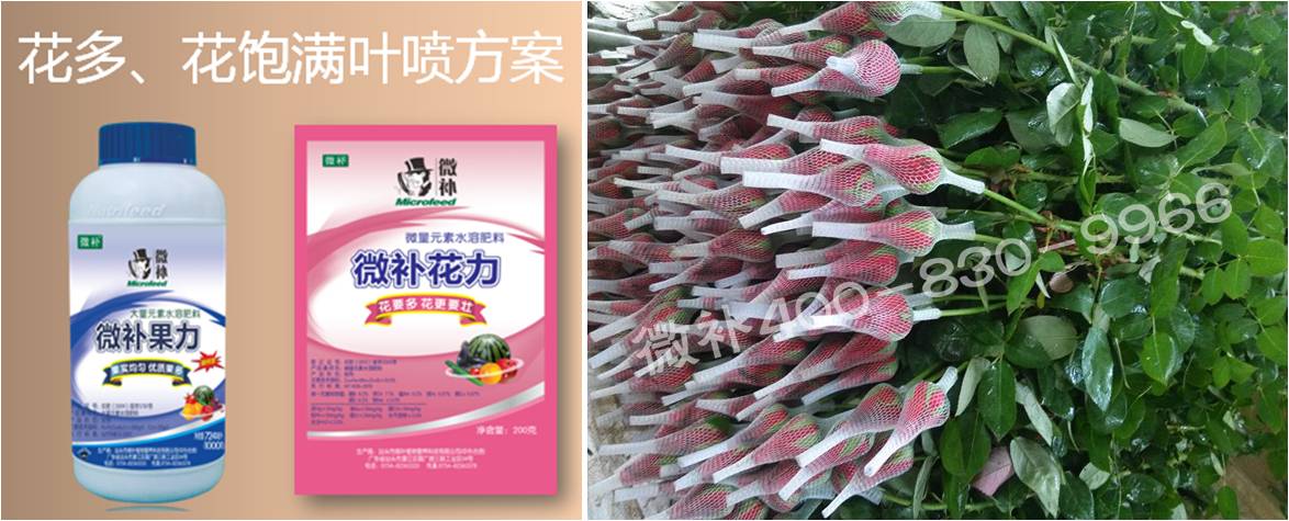 花卉也需要微補嗎？