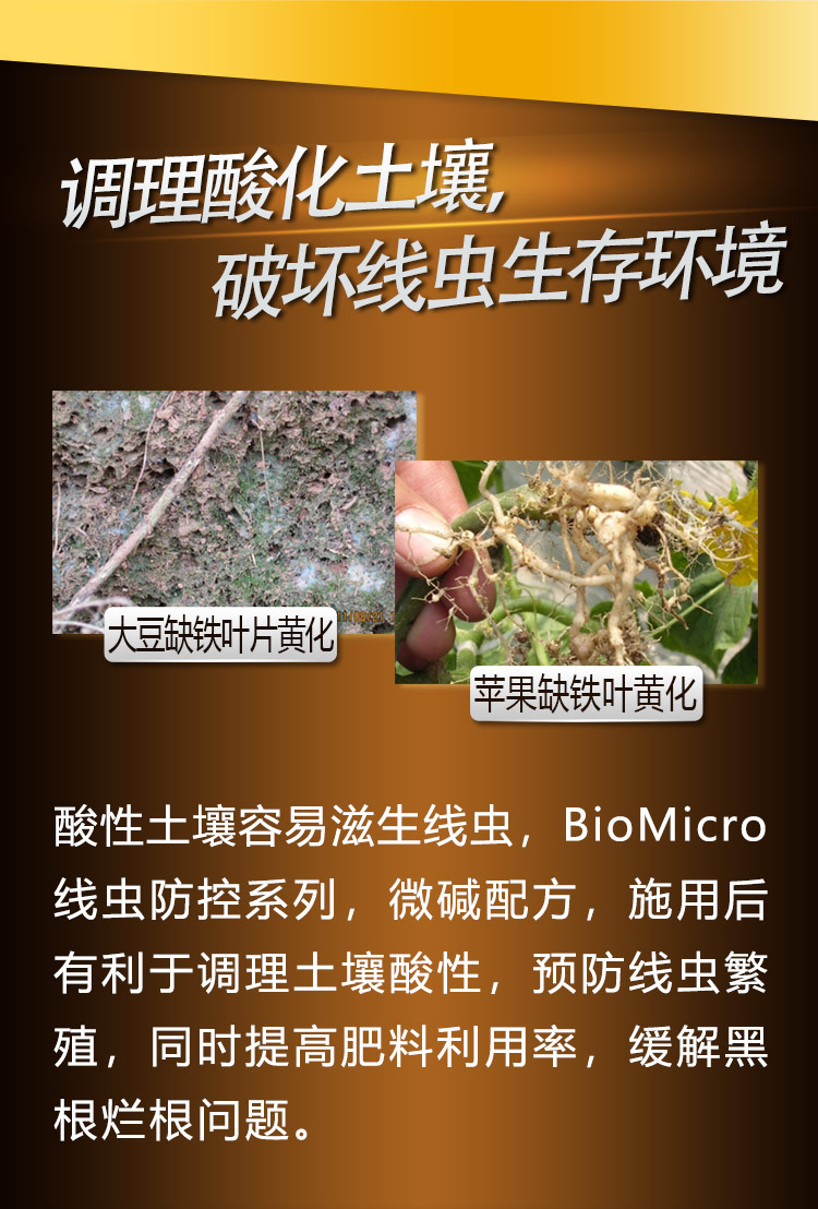 22BioMicro線(xiàn)蟲(chóng)防控系列【手機版】_06.jpg