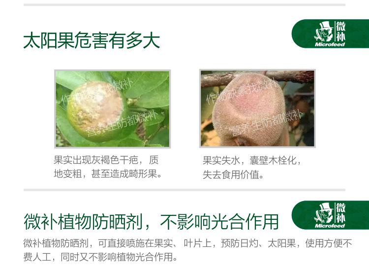 微補UV防曬劑13_02.jpg 微補UV防曬劑13_02.jpg