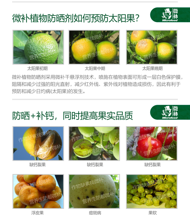 微補UV防曬劑13_03.jpg 微補UV防曬劑13_03.jpg