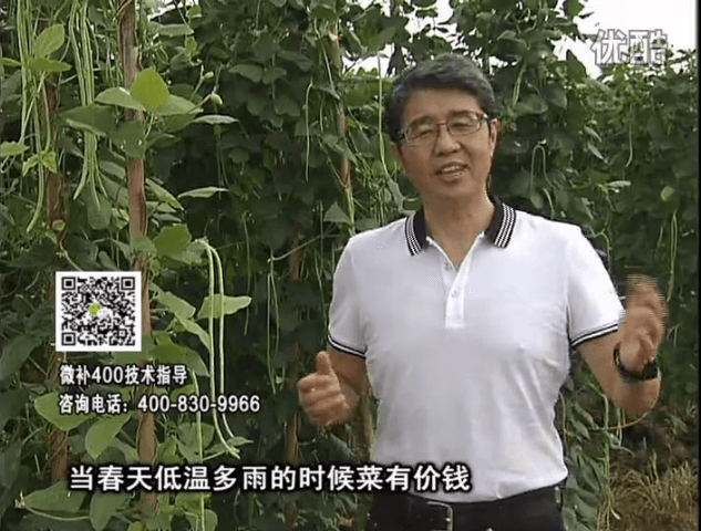 20160704珠江臺搖錢(qián)樹(shù)：蔬菜用微補方案，省肥藥又保產(chǎn)