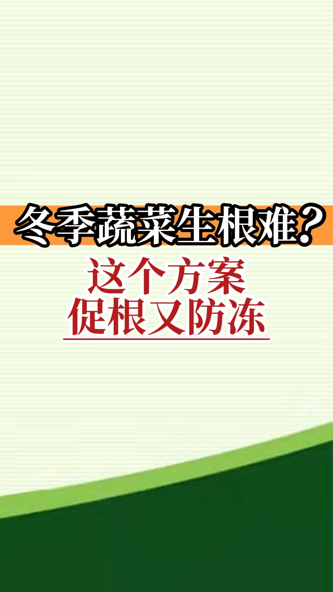 冬季蔬菜生根難？這個(gè)方案促根又防凍