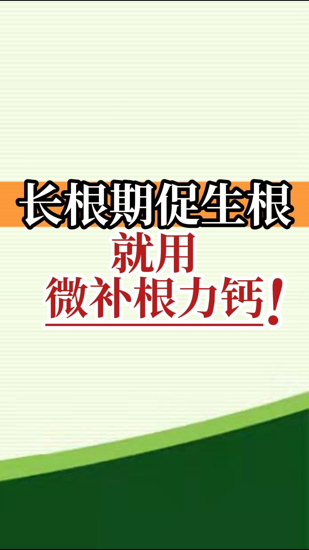 長(cháng)根期促生根就用微補根力鈣！