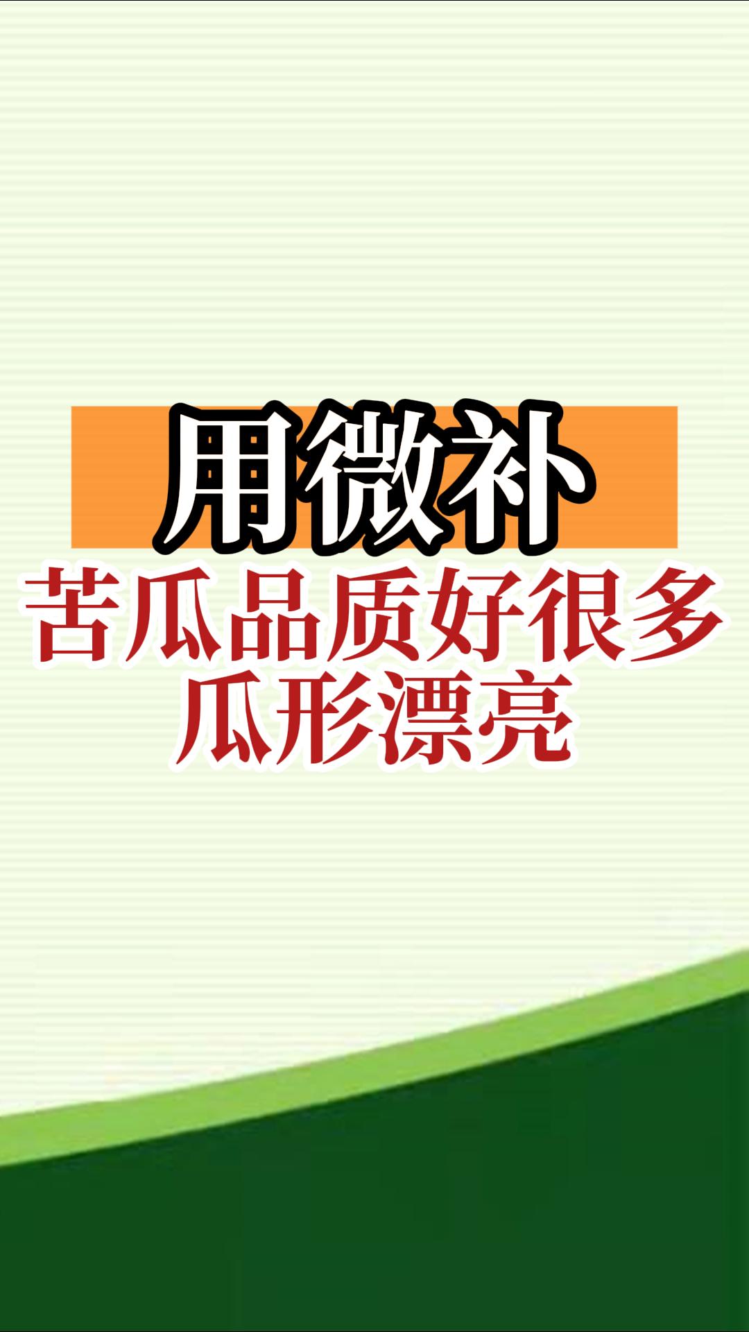 用微補，苦瓜品質(zhì)好很多，瓜形漂亮