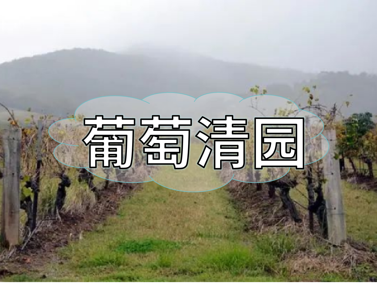 葡萄清園怎么進(jìn)行？