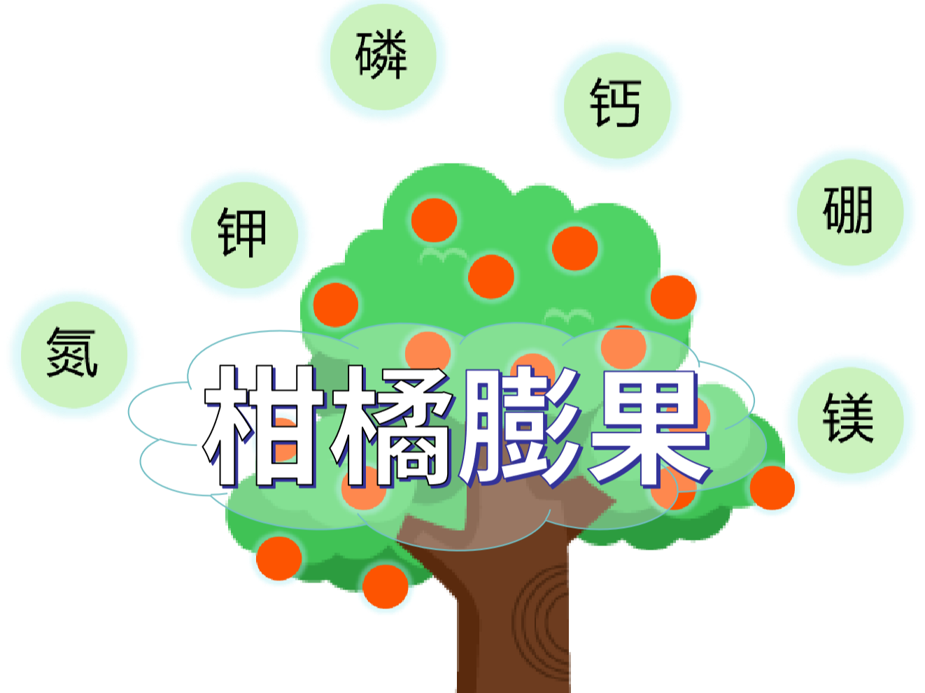 柑橘膨果慢？找準原因，“對癥下藥”